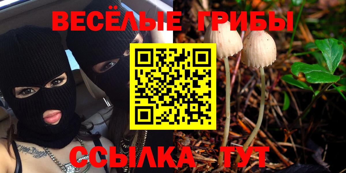 Галлюциногенные грибы ЛСД Дзержинск