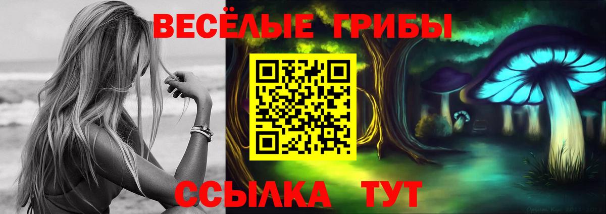Дзержинск  Галлюциногенные грибы GOLDEN TEACHER  Псилоцибиновые грибы прущие грибы  Вход с VPN 